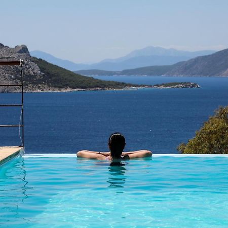 Eucalyptus Villa Aegina Kültér fotó