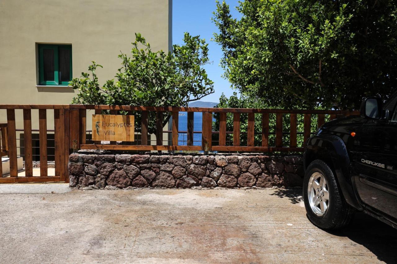 Eucalyptus Villa Aegina Kültér fotó