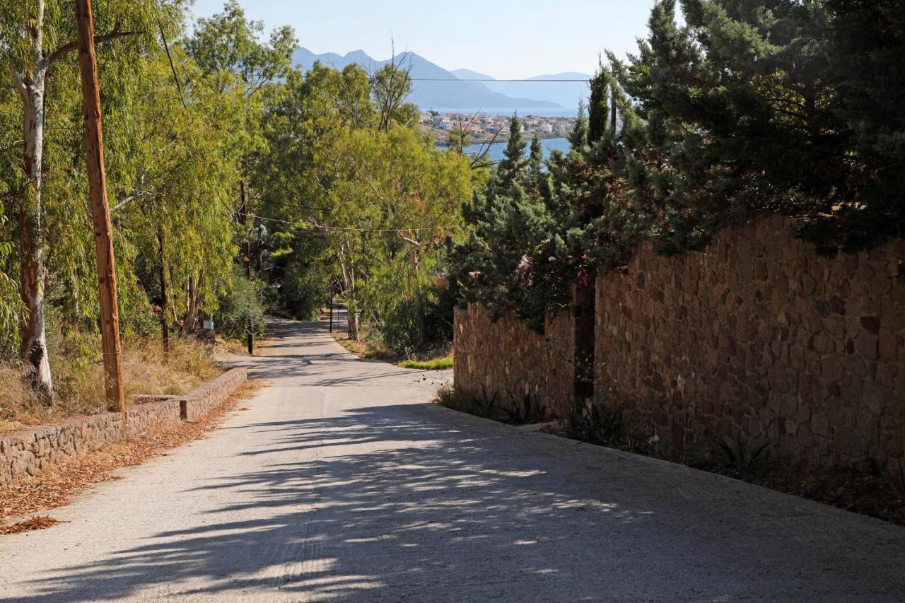 Eucalyptus Villa Aegina Kültér fotó